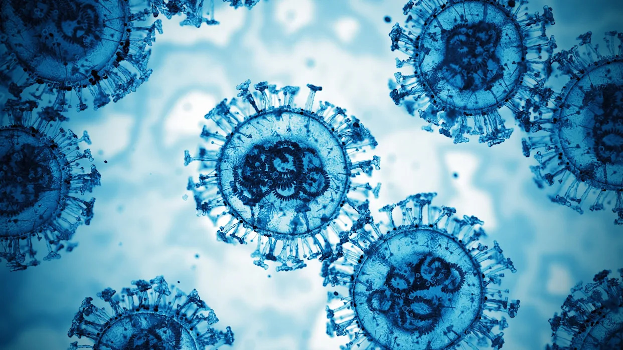 With a new COVID variant on the rise, which US states have the most cases?