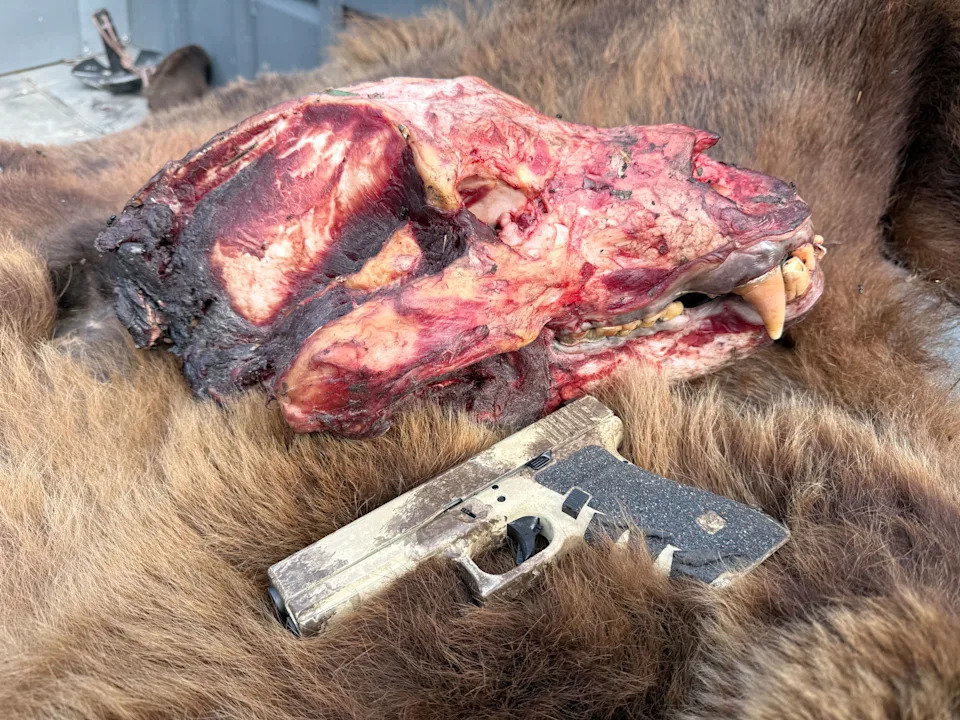 DLP grizzly skull and Glock G20