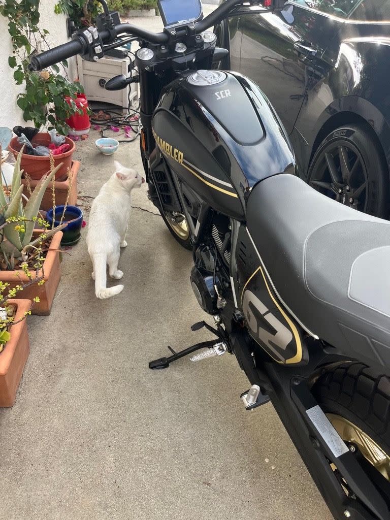2025 ducati scrambler full throttle
