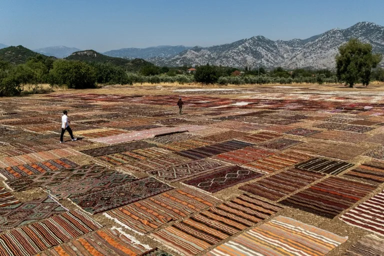 Tourists walk on handwoven carpet laid out in an open field to soften their colours under sizzling sun in coastal city Antalya's Dosemealti district (Ozan KOSE)