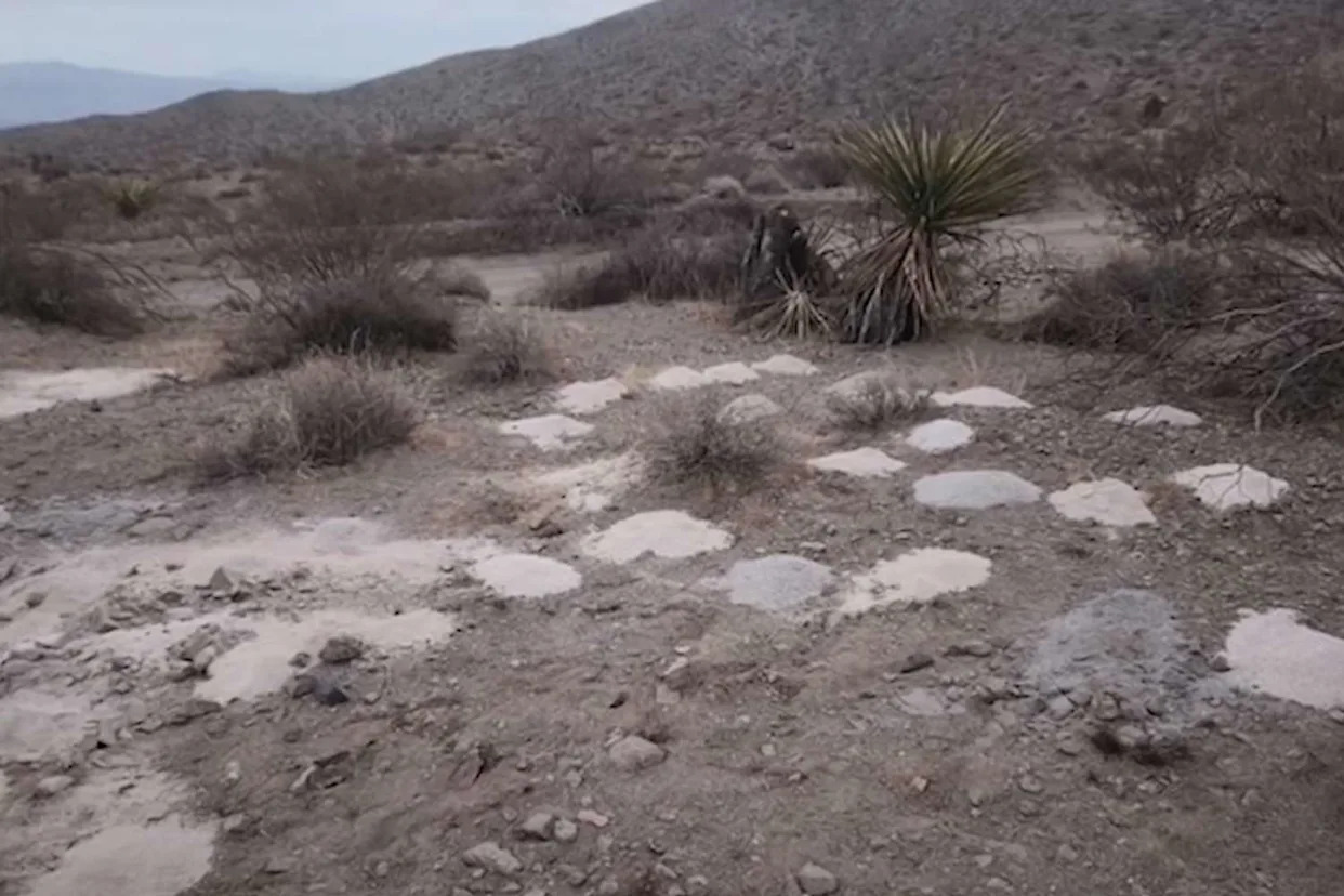 Feds Investigating After Dozens of Cremated Human Remains Found in Nevada Desert