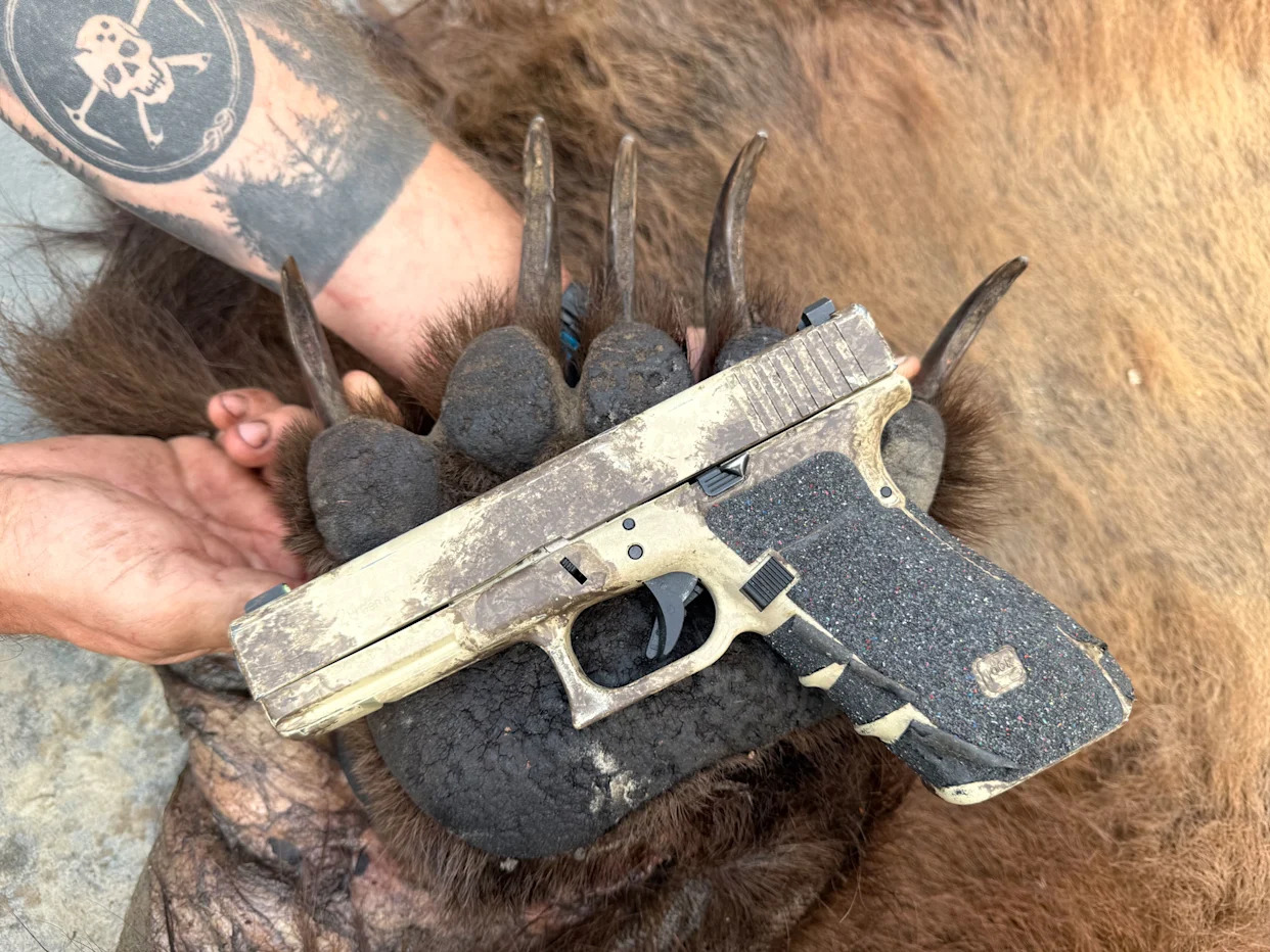 Glock G20 10mm and DLP grizzly bear