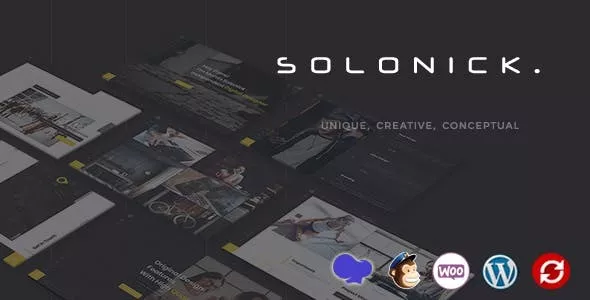 Solonick - Personal Portfolio WordPress Theme v4.2