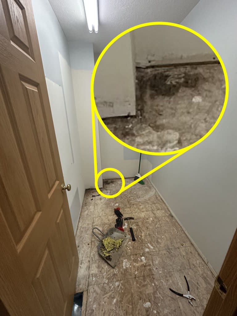 The EPA warns that mold can cause health issues, including skin rashes. Kennedy News/@applfrittr11