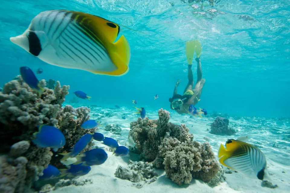Snorkeling in Tahiti