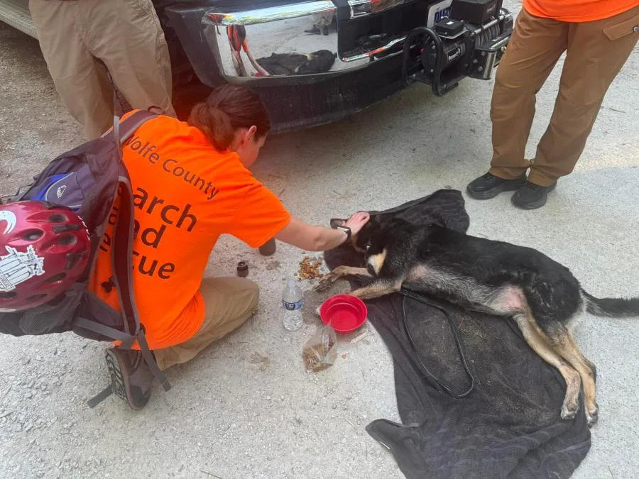 First responders work to get a dog hydrated and fed after suffering from heat exhaustion on a hiking trail. (Wolfe County Search and Rescue Team)