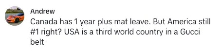 Comment: "Canada has 1 year plus mat leave. But America still #1 right? USA is a third world country in a Gucci belt."