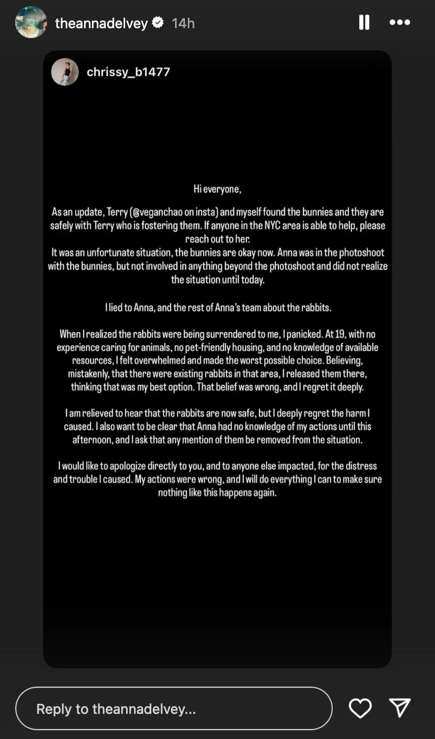 Batty issued a public apology about the incident and claimed that Delvey was not involved with the bunny dump. / Christian Batty/Instagram