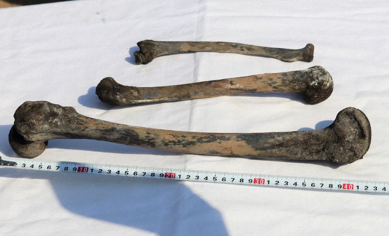 長生炭鉱の人骨、身元の特定調査はどこが？　問われる国の縦割り行政
