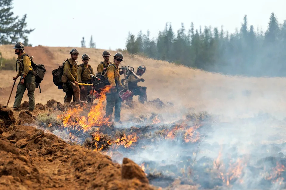 Two firefighters battling Washington state’s biggest wildfire were arrested by Border Patrol agents. The men were picked up Wednesday as they battled the Bear Gulch fire on the Olympic Peninsula (AP)