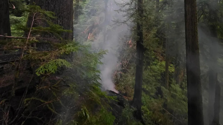 Historic Oregon tree defies flames, still standing after days of fire
