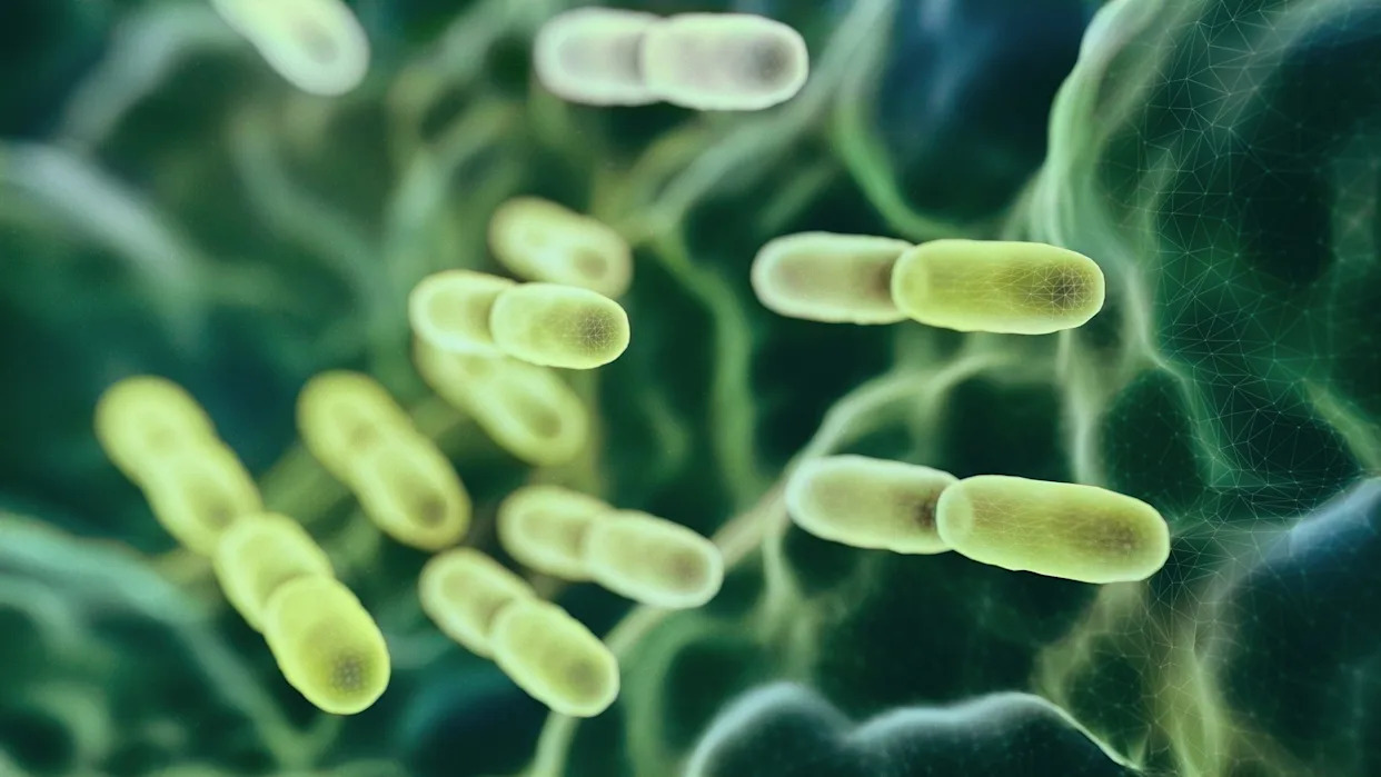 2 dead, 58 sickened in growing NYC Legionnaires' disease cluster