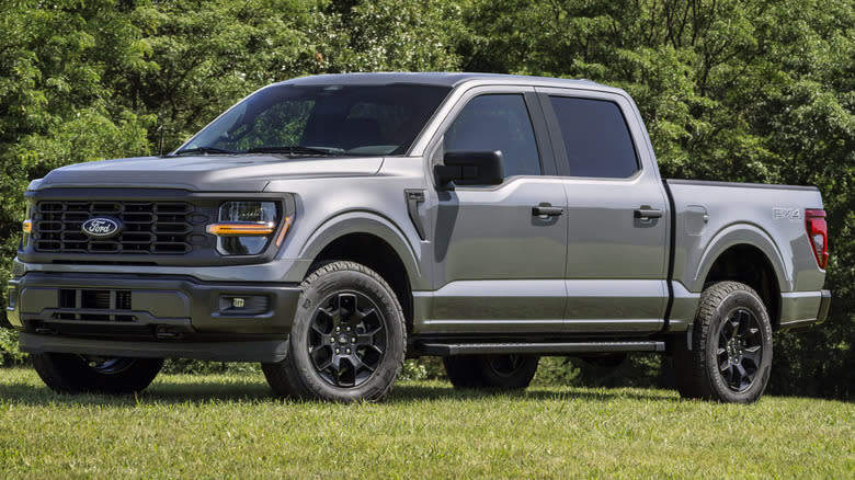 A silver 2024 Ford F-150 STX parked on green grass with trees in the background
