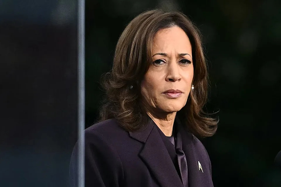 In a statement released by her office Wednesday, Harris said she had reached the decision after ‘deep reflection’ and vowed to ‘remain in the fight’ despite not holding an official political office (Angela Weiss/AFP via Getty Images)