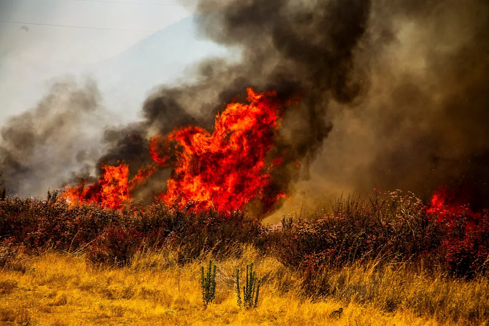 Gifford Fire burns 30,000 acres in Los Padres National Forest on August 2, 2025. Flames sweep through rugged terrain near Santa Maria, California, forcing evacuations and endangering nearby communities and wildlife.