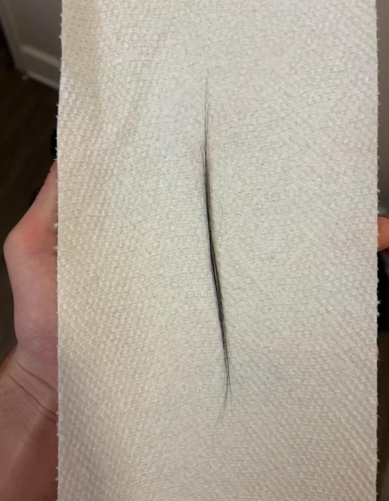 Reddit post titled "Mystery hair clump in my apartment. What to do?" shows a close-up of a small hair clump on a white surface