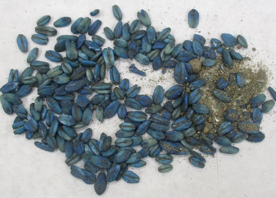 A pile of blue pellets.