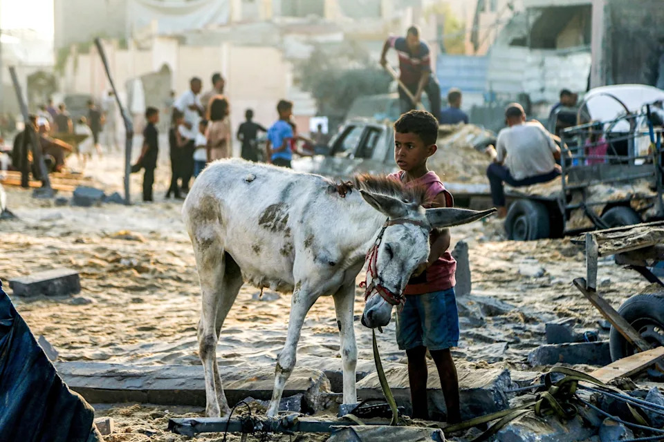 -/AFP via Getty Images - PHOTO: A boy strokes the neck of a donkey as they stand amidst rubble following overnight Israeli bombardment on the Japanese neighbourhood in the northwest of Khan Younis in the southern Gaza Strip on July 28, 2025.