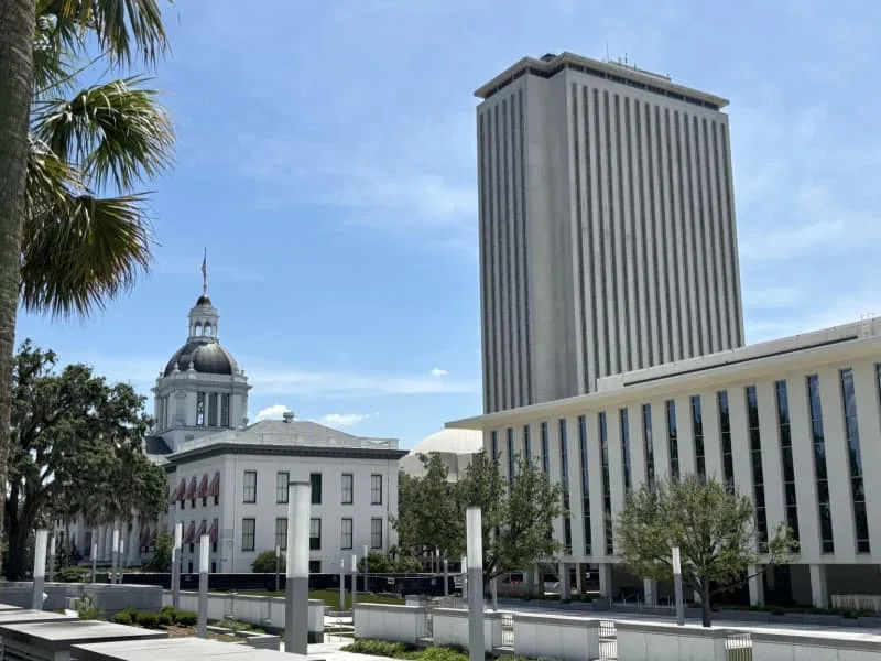 Collins tapped for Florida lieutenant governor