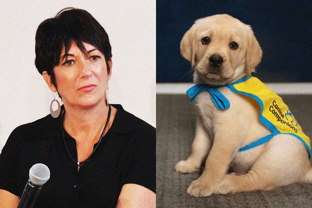Ghislaine Maxwell barred from service dog training at cushy prison camp