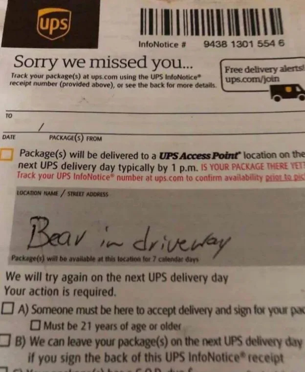 UPS missed delivery notice with handwritten note: "Bear in driveway." Package will be at local access point