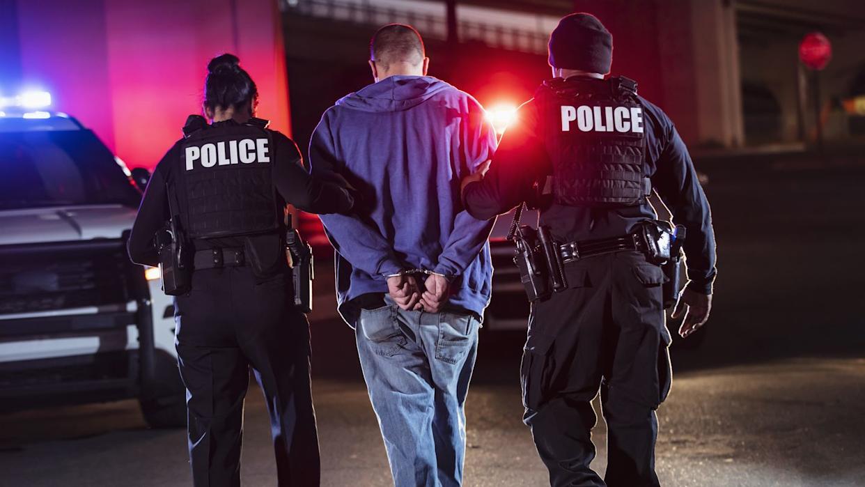 Cop Jumps in a Mario Kart-Equipped Rideshare Minivan To Catch a Suspect Fleeing On Foot