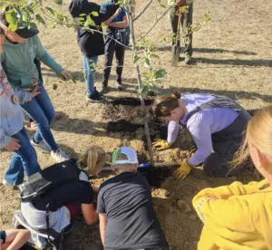 Community members in Jackson County plant trees in 2024 in an effort to replace canopy lost from the 2020 derecho. (Photo courtesy of DNR).