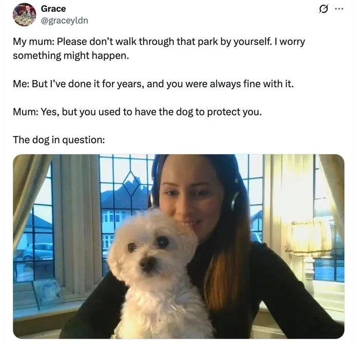 A person smiling while holding a small white dog; a humorous social media post about a protective dog