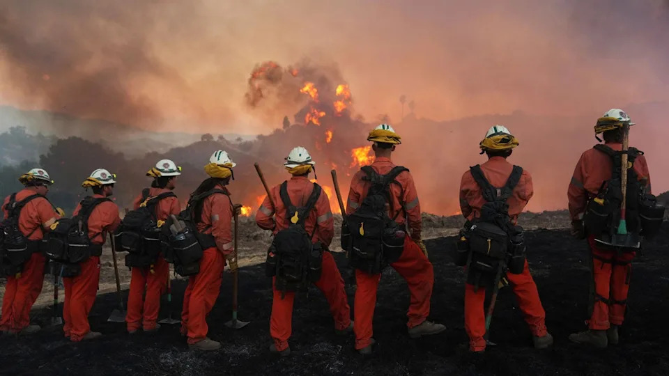 Firefighters stand in a line and watch a wildfire burning in the background