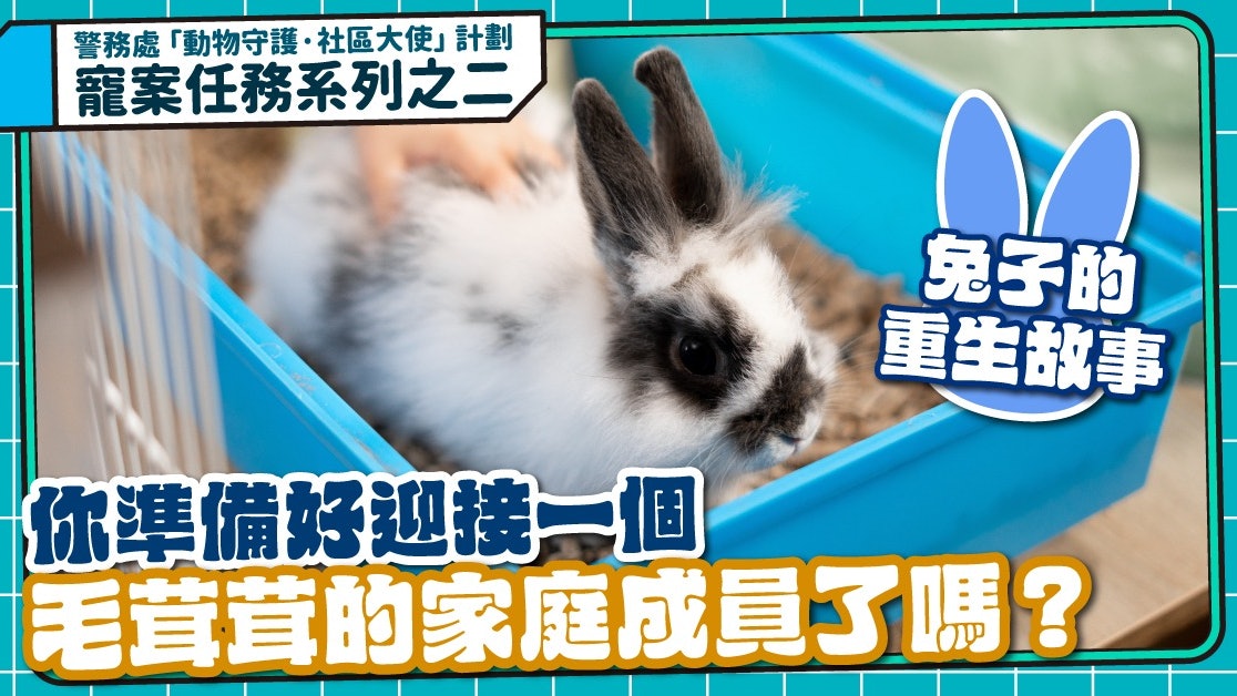 寵案任務│兔子的重生故事 你準備迎接一個毛茸茸的家庭成員了嗎？