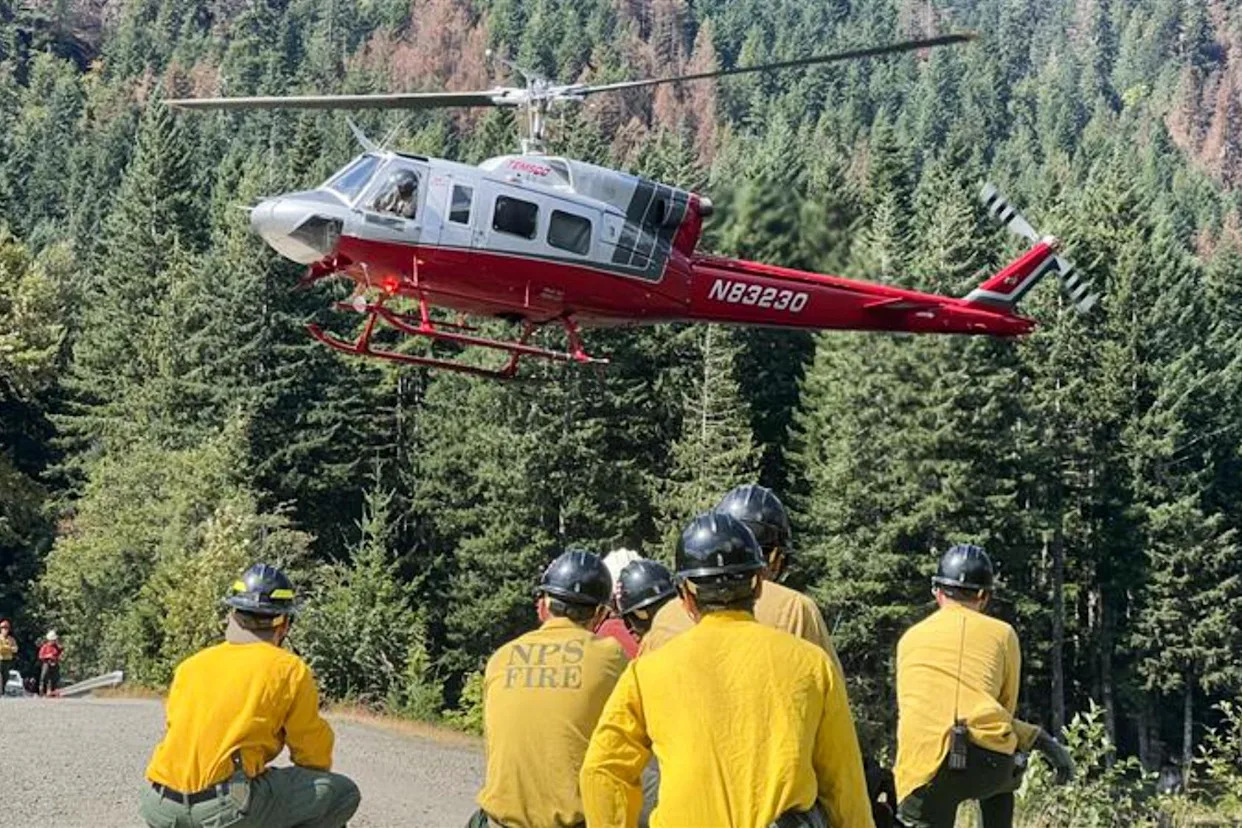 Democrats seek ‘immediate answers’ after reported arrests of firefighters by US border agents