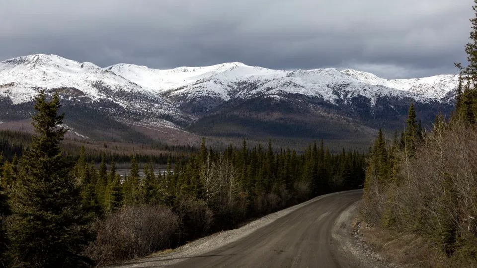 Collision with moose kills driver and injures passenger near Alaska’s Denali National Park