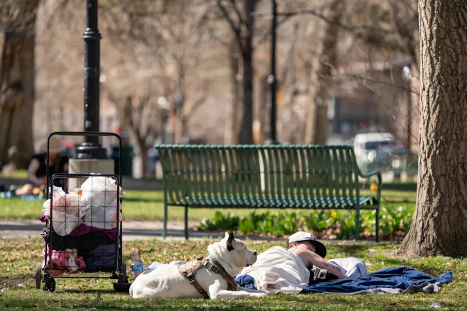 A person and a dog lay in the grass outside the City-County Building in Salt Lake City on Wednesday, March 26, 2025. (Photo by Spenser Heaps for Utah News Dispatch)