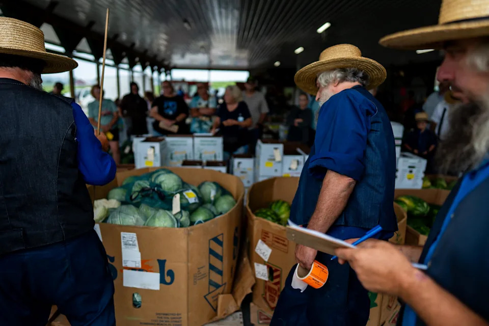 Are there Amish communities in Louisiana? Yes, with farms and businesses existing here
