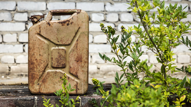 An aging, rusted gas can sits in front of a white brick wall with a shrub in the foreground