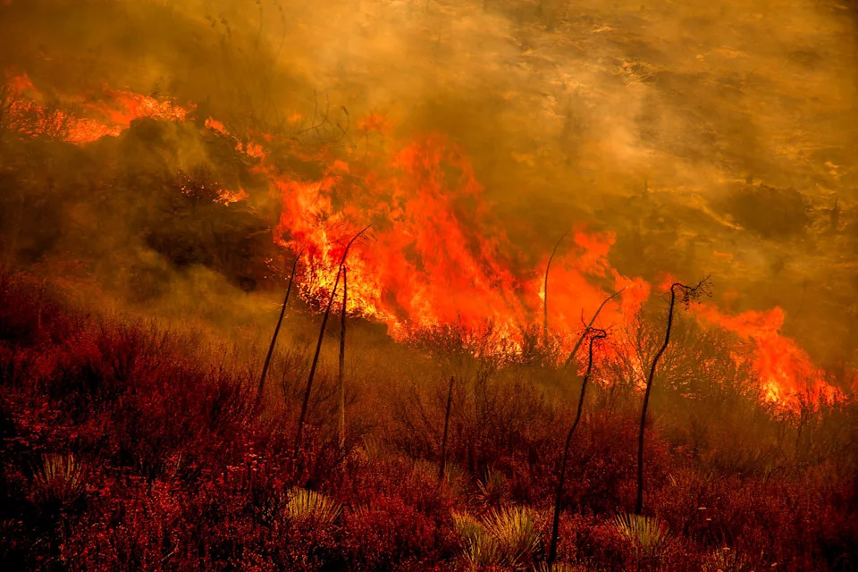 Gifford Fire burns 30,000 acres in Los Padres National Forest on August 2, 2025. Flames sweep through rugged terrain near Santa Maria, California, forcing evacuations and endangering nearby communities and wildlife.