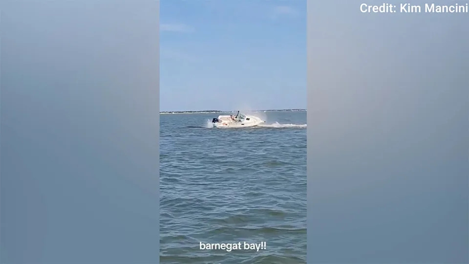 Boat collision with whale sends passenger overboard, kills 20-foot marine mammal
