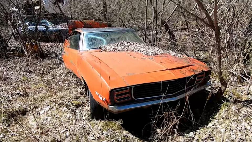 Secret Junkyard Contains Classic Muscle Cars