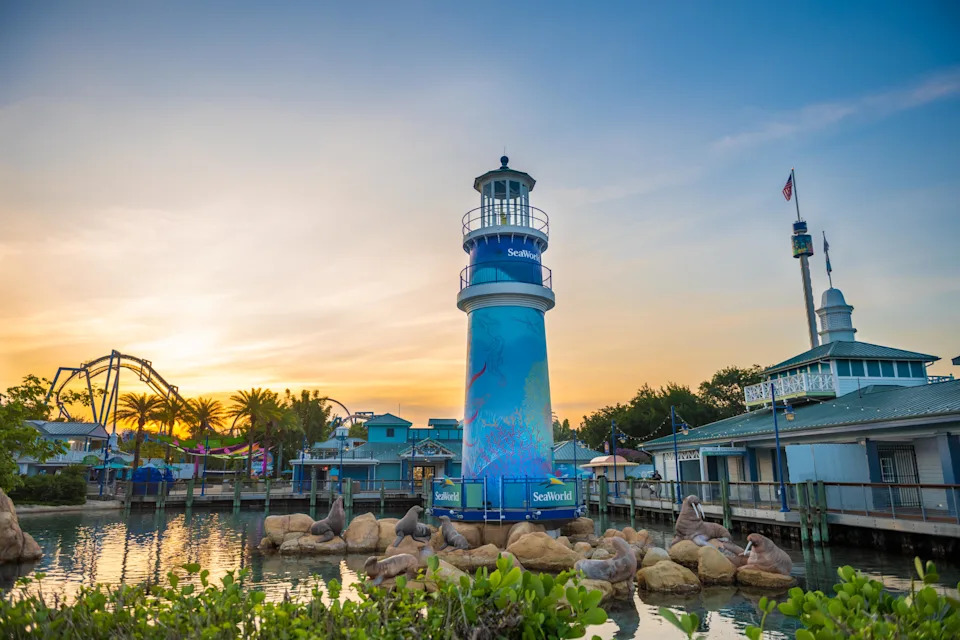 SeaWorld is inviting all Florida teachers to the park with free admission. How to register
