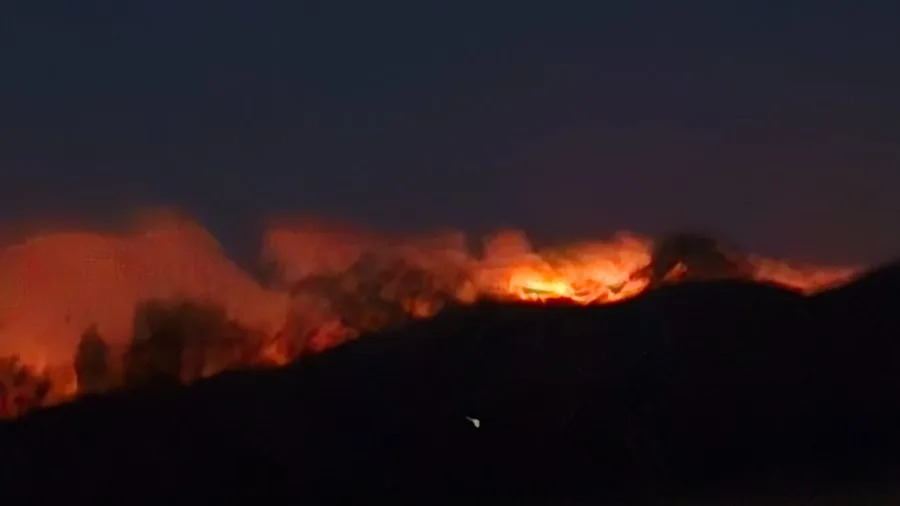 Michaux State Forest Fire. Photo from Wyatt Graham
