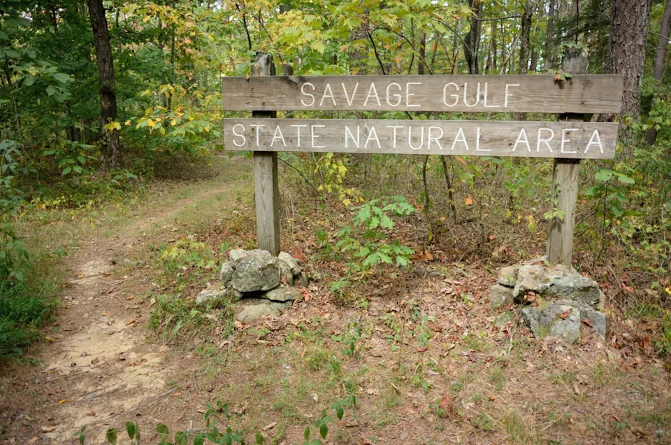 The hiker was found just half a mile down a trailhead at the sprawling Savage Gulf State Park, officials said (Getty/iStock)