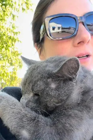 Fiona Begg/TikTok Fiona Begg and rescue cat