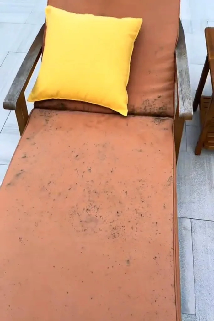 It’s wild that the owners had the nerve to rent out their home in this condition. @, larad_official / TikTok