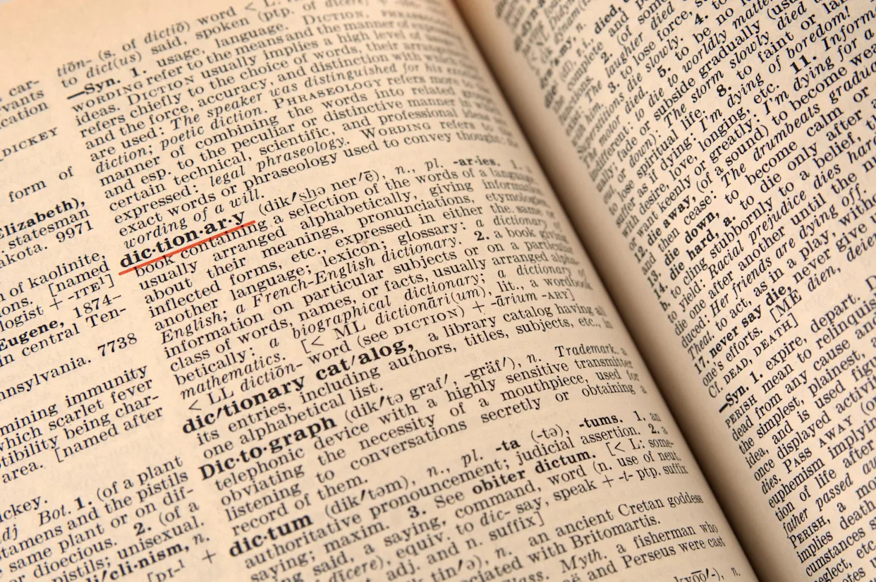 Cambridge Dictionary adds "skibidi," "delulu" and more words