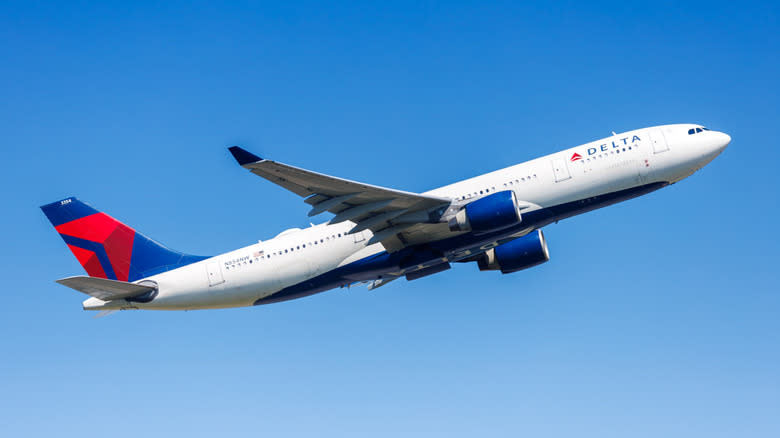 Delta Airbus A330 plane