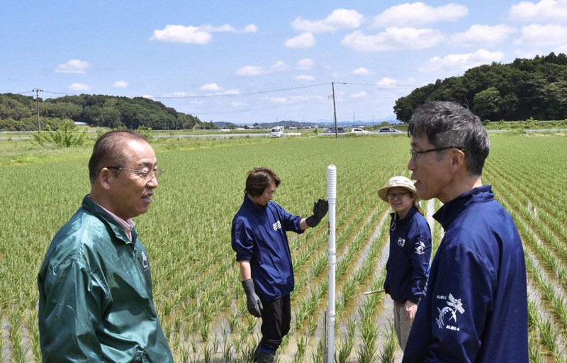 田んぼで排出のメタン、宇宙から監視実験　削減できたら農家に収入も