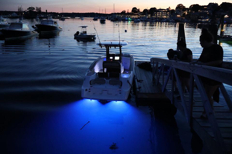 yamaha 255 fsh with underwater lights on.