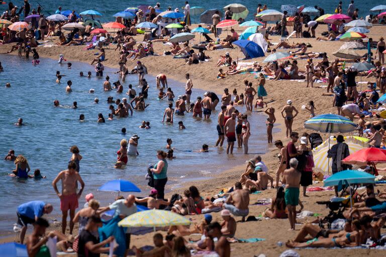 Un ritual peligroso: ¿Te llevás caracoles de la playa? Esta es la razón por la que no deberías hacerlo