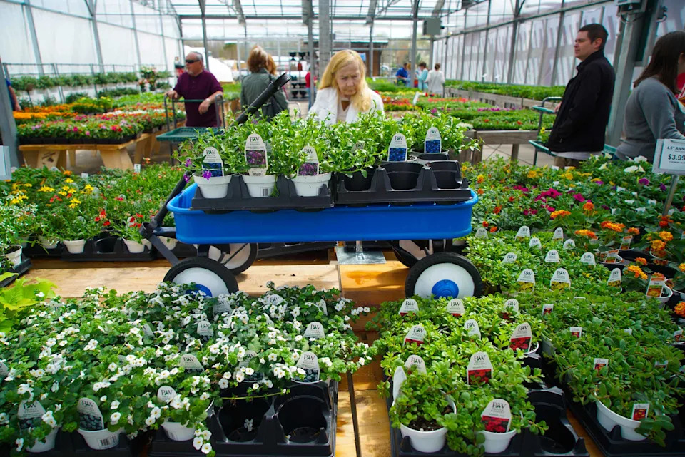 3 Delaware small businesses are some of the 'most loved' in the US. Have you been to them?