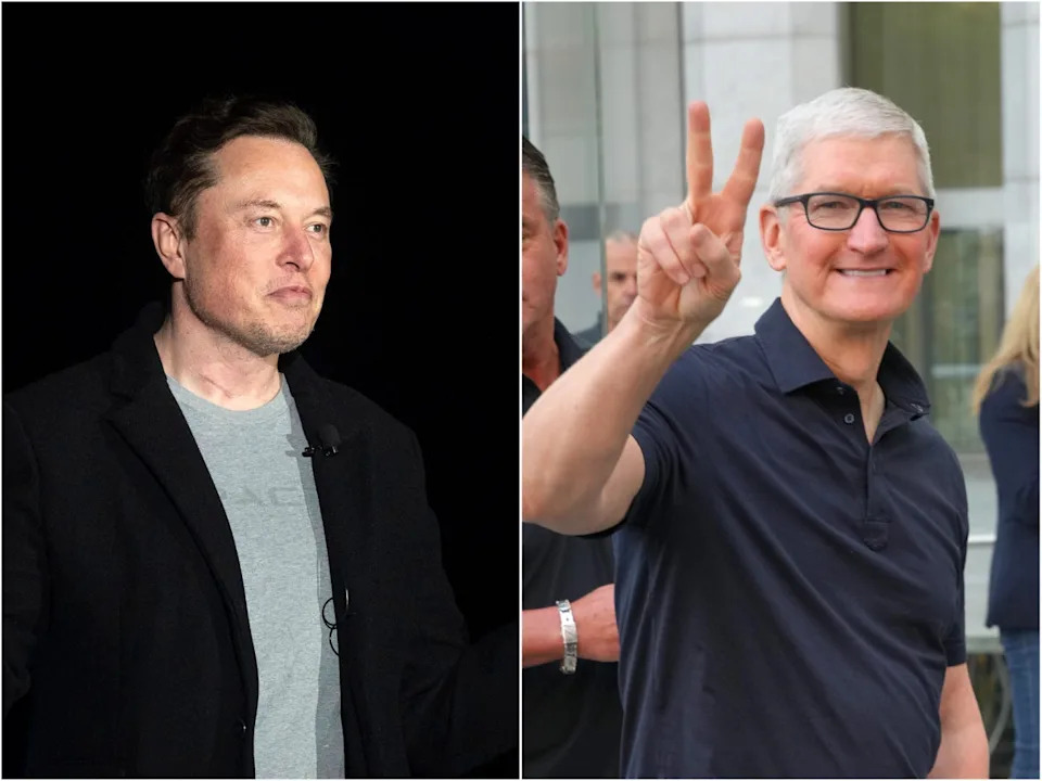 Elon Musk, Tim Cook